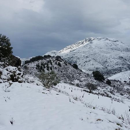 Finca Las Morenas Yunquera Bagian luar foto