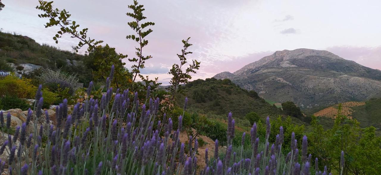 Finca Las Morenas Yunquera Bagian luar foto