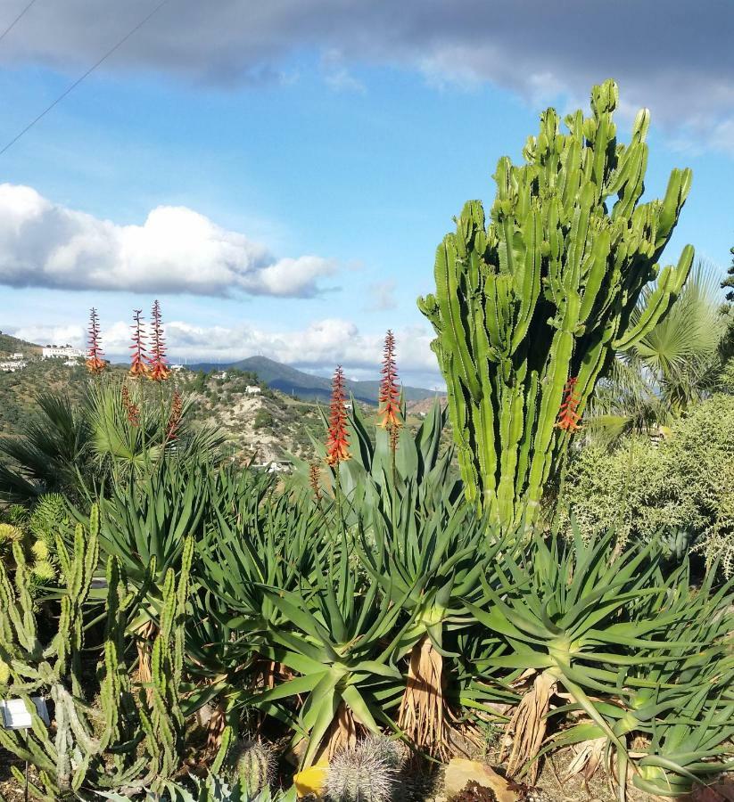 Finca Las Morenas Yunquera Bagian luar foto