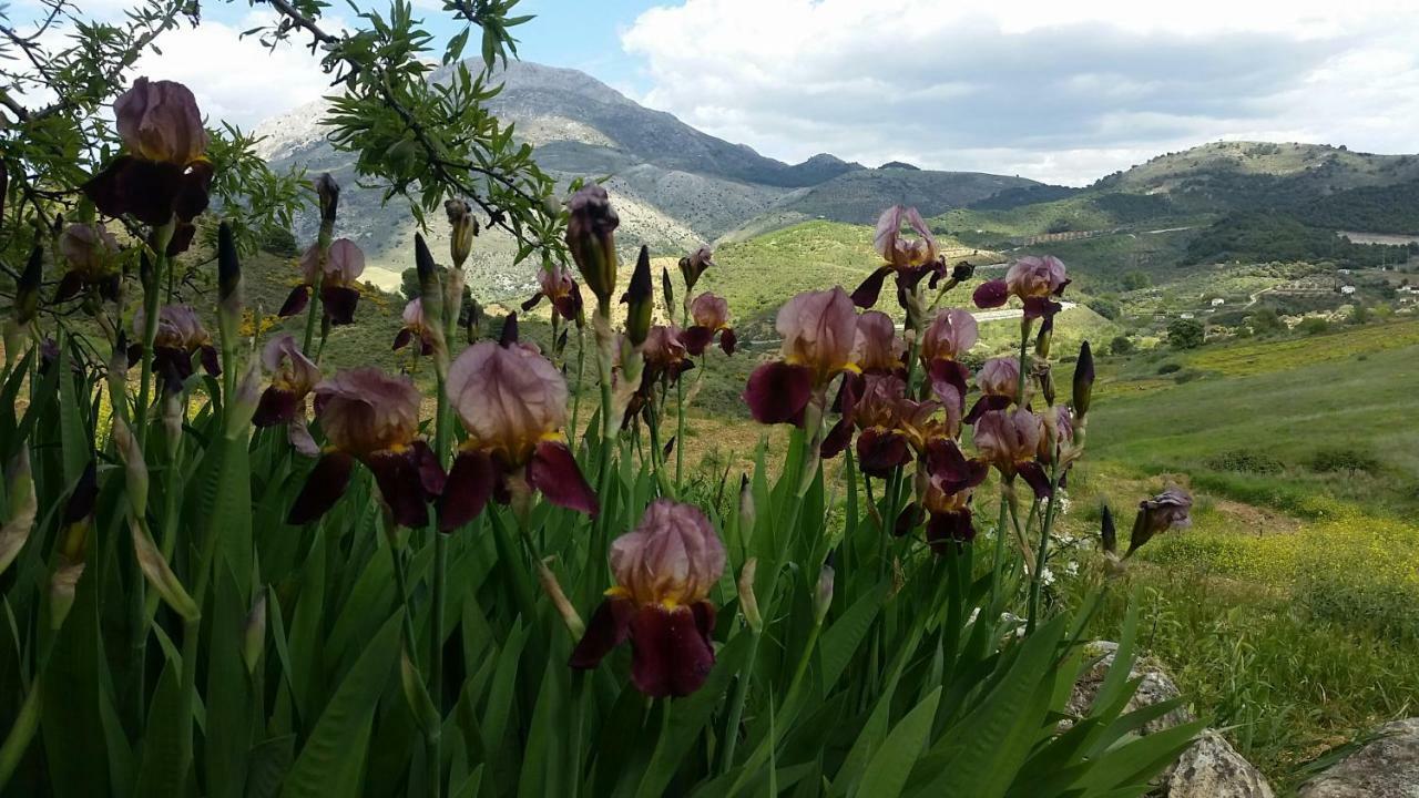 Finca Las Morenas Yunquera Bagian luar foto